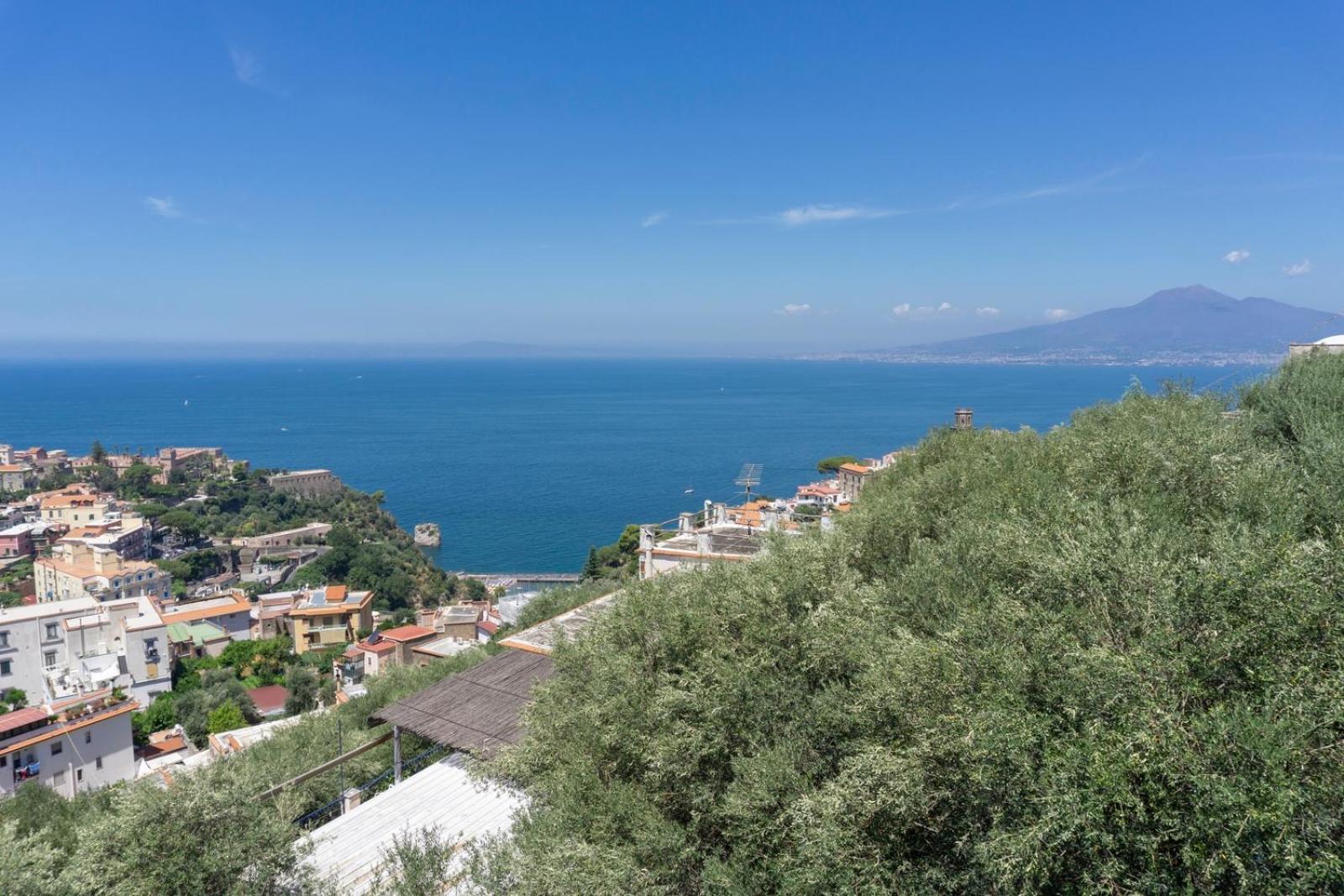 Appartamento In Villa Ariel Vico Equense Bagian luar foto